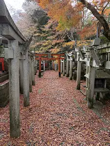 Photo Shared by John with their review