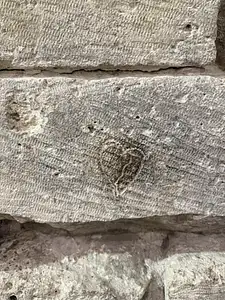 Photo Shared by Christina with their review