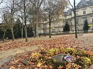 Photo Shared by Francine with their review